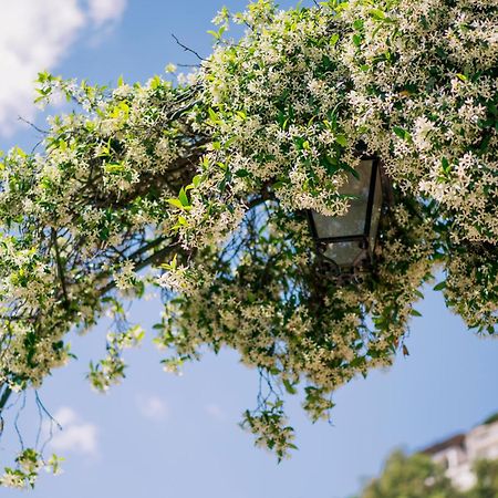 Villa Sant'Alfonso 스칼라 외부 사진
